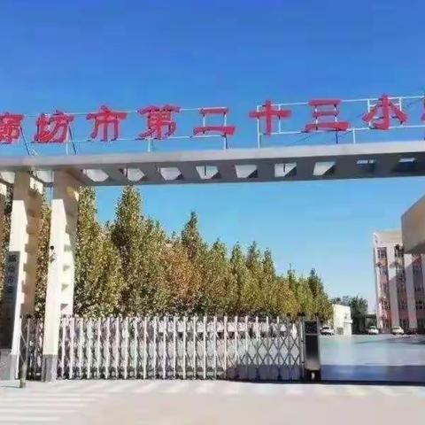 落实教育数字化 智慧教育助发展——廊坊市第二十三小学借智慧教育平台助力线上教学