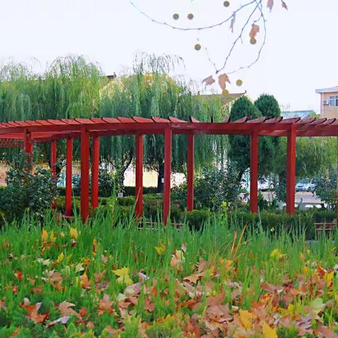 【平乡二中】风雨交加中别样美丽与温暖