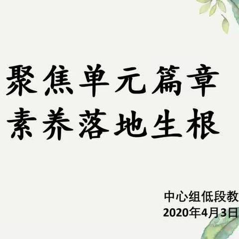 最美人间四月天，云端教研迎新篇——记中心组低段教研活动