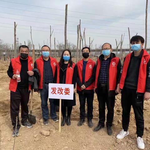 三门峡陕州区发改委——掀起2020年植树造林新高潮
