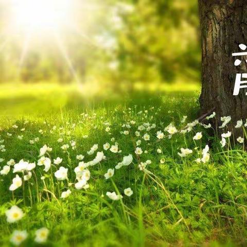 送课下乡共交流  携手同行共发展