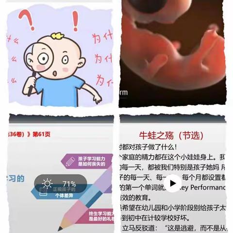 《不输在家庭教育上》——《孩子的好奇心需要家长的呵护》四（4）班家长学习分享