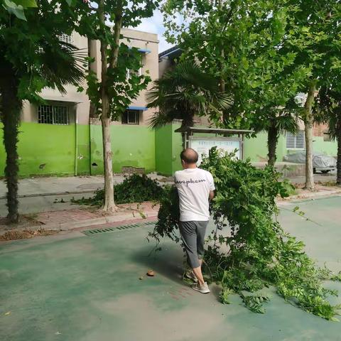 《中小学校外活动中心城市管理“三化”建设城区绿化提升改造》二十三