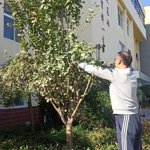 《中小学校外活动中心城市管理“三化”建设城区绿化提升改造》二十五