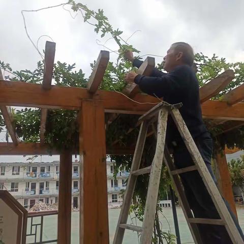 《中小学校外活动中心城市管理“三化”建设城区绿化提升改造》二十四