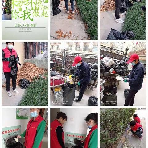 春暖花开，垃圾分类从我做起