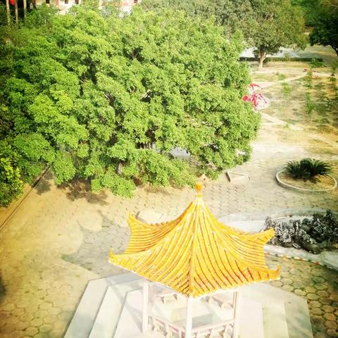 携手同行，天下均安