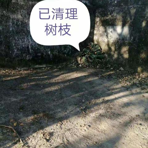 均安中学创强复评督前检查整改情况汇报材料。