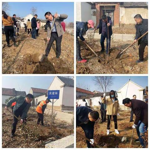 济南民建莱芜区总支部组织开展植树节活动