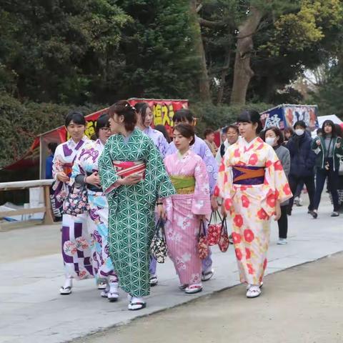 日本的樱花和千姿百态的女人