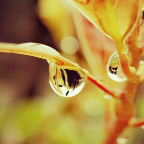 摄黄记（2017年3月13日——19日）