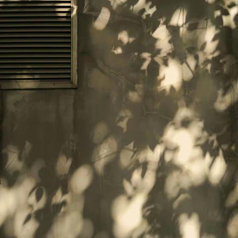 21天一起拍每日一图汇总