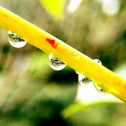 小水珠，大世界