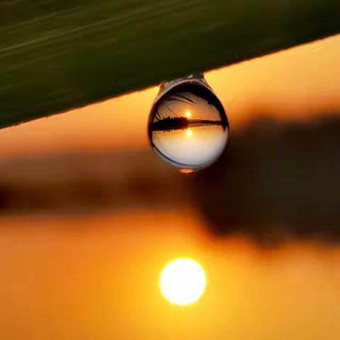 小水珠里的乾坤