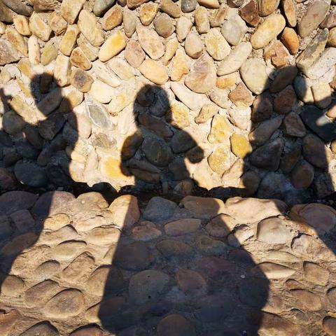 初冬，那一树醉人的明黄