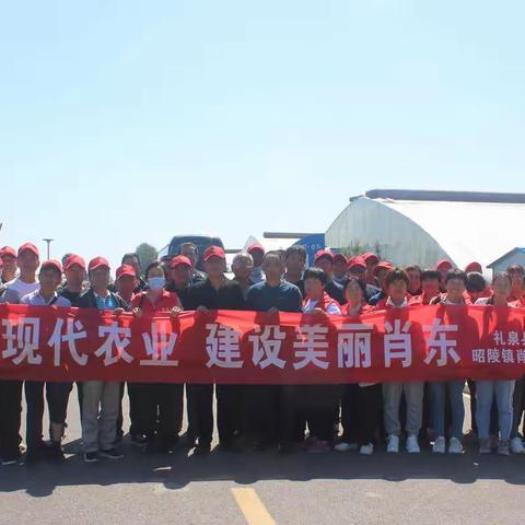 昭陵镇肖东村赴山东寿光参观学习纪实