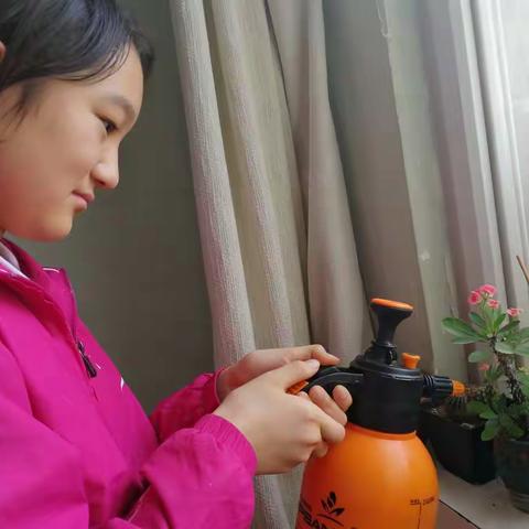 “我为我家添新绿”活动---胜利第三十四中学六三班