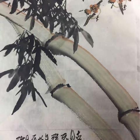 美图欣赏