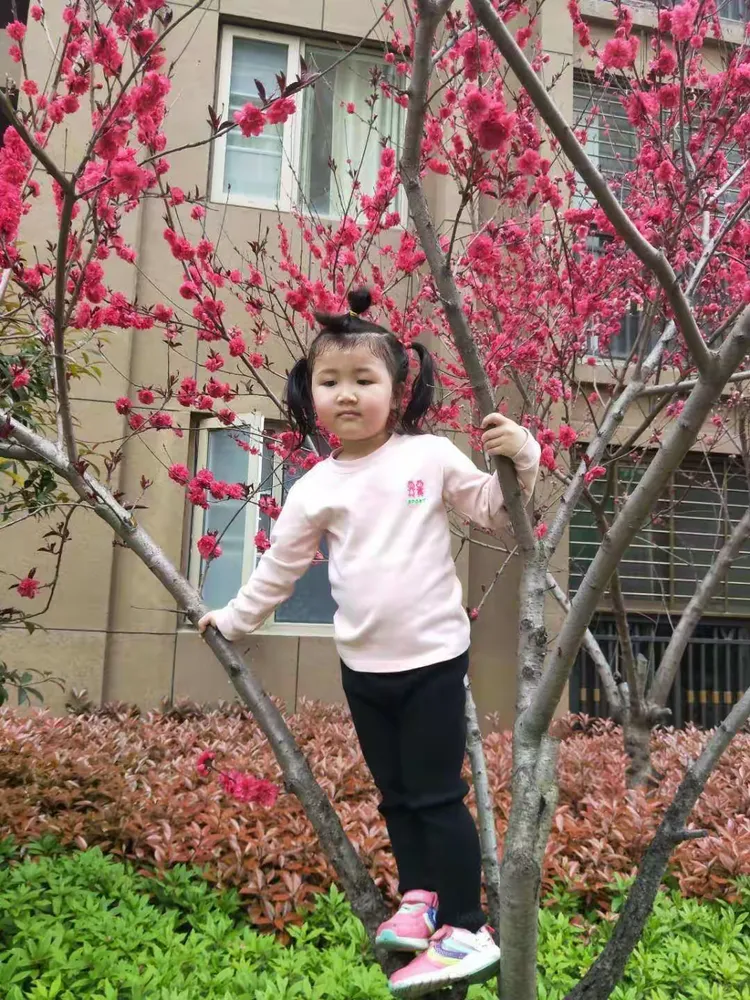 神墨口才优秀学员专访——陈诗怡