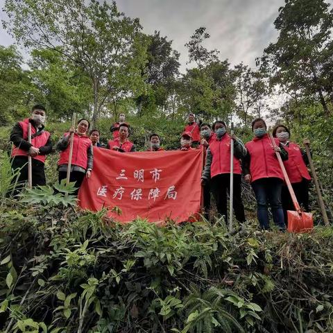 守护绿水青山、践行植绿扶绿 -市医保局机关支部、中心支部开展幼林管护、清锄杂草义务劳动主题党日活动