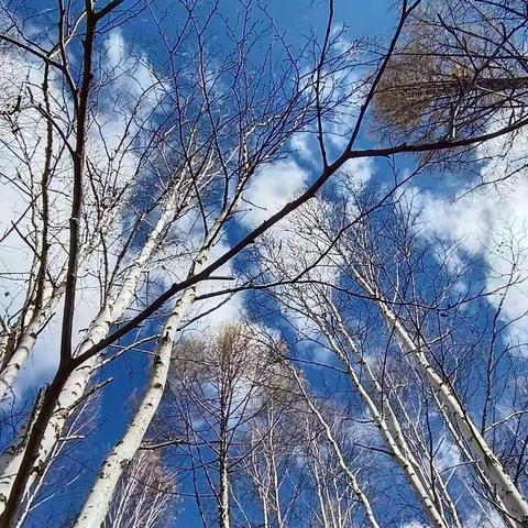 诗和远方 【内蒙八天行】