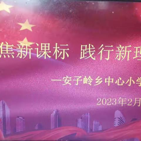 “聚焦新课标  践行新理念”——学习新课标感悟读书报告