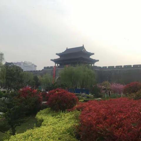 淮安古城墙公园美景（手机拍摄2019-4-4）