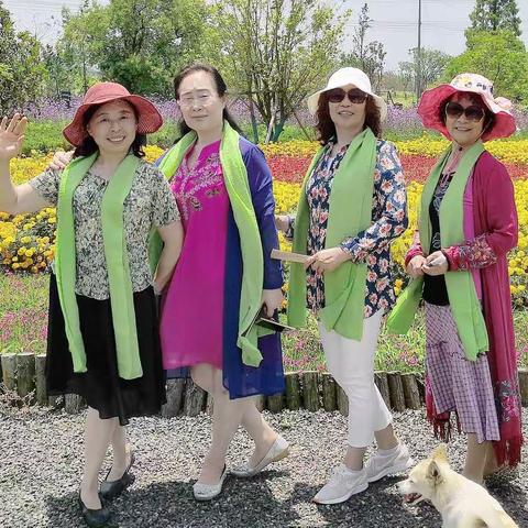 四枝花钱家渡之印象2019.6.23