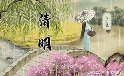 天宝小队清明节活动