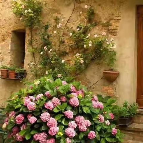 七律◎《风月芳华》_与朋友那叶千千文字对对碰