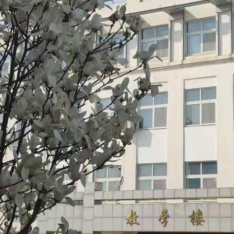 檀营小学“践行课改理念，优化教学行为”专家课堂指导（99）