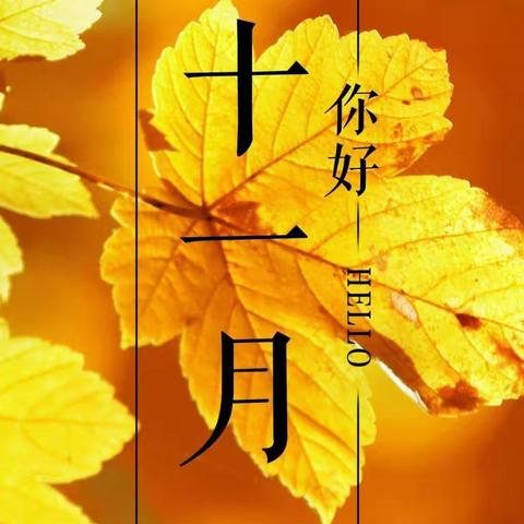 【工商银行宁夏分行】项目部11月份简报