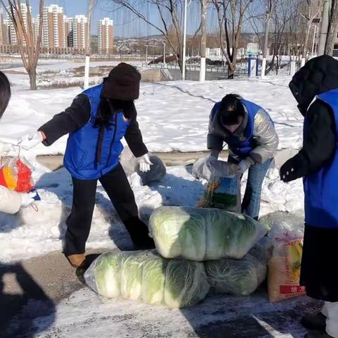 冰雪无情人间有爱，爱鸟人士为候鸟送来食物