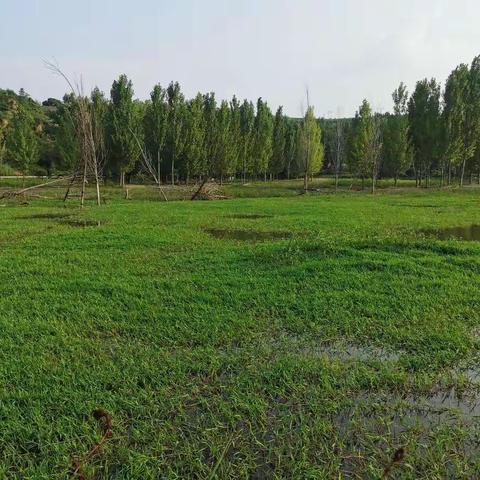 三漳湿地