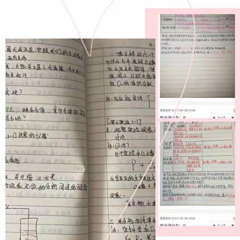 乌鲁木齐市第三十中学理化生组网课小结