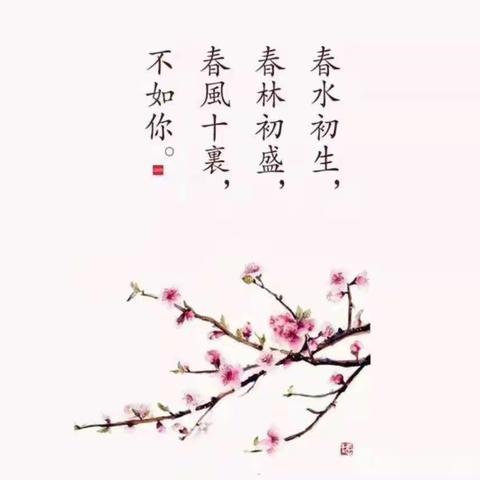 春之舞曲～我和春天的旋律🎶