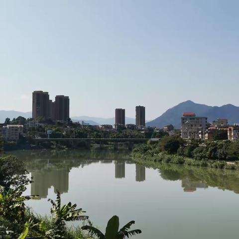 春色盎然别料寒 文：原创 图：自拍