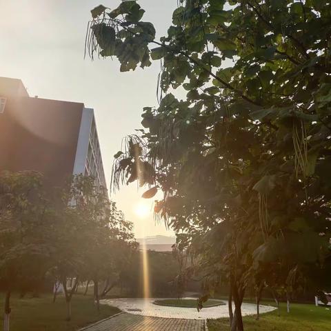停课不停学，离校不离师