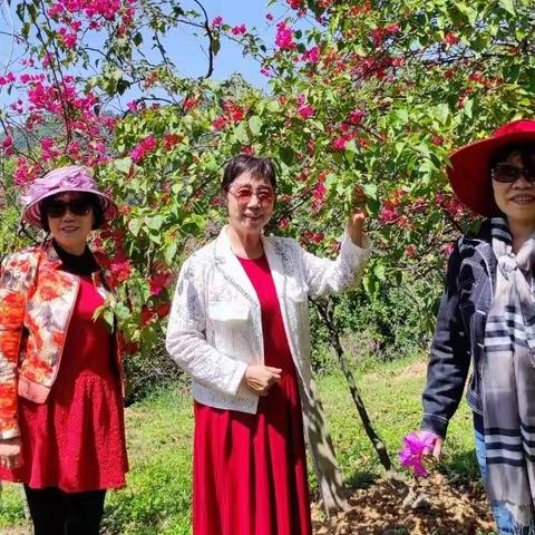 三八节，与美貌如花的女士们，一起去我下乡务农过，大西坑林农场欢乐游玩。