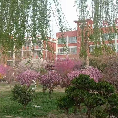 教研路上寻芳菲 互鉴互学促成长——“城乡教研共同体低年级语文、数学课堂教学实践”的研讨活动