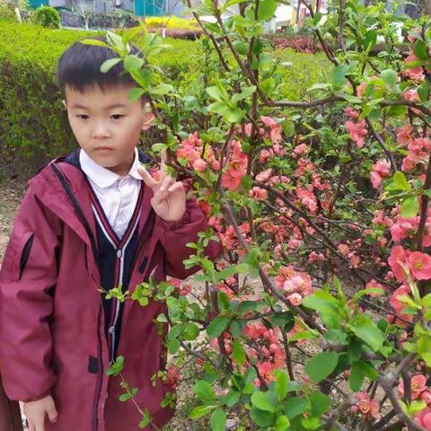 抗“疫”生活，宅在家也快乐！