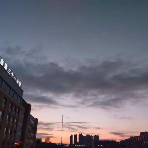 乌鲁木齐市第三十一中学理化生教研组“停课不停学”工作记