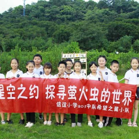 星空之约·探寻萤火虫的世界