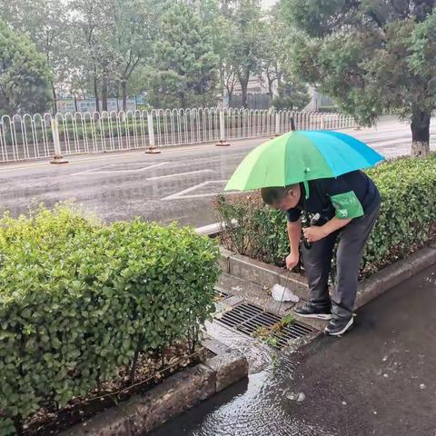 京科苑东区抓好汛前检查，做好雨后工作