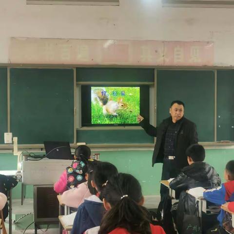 堌堆小学语文教研活动