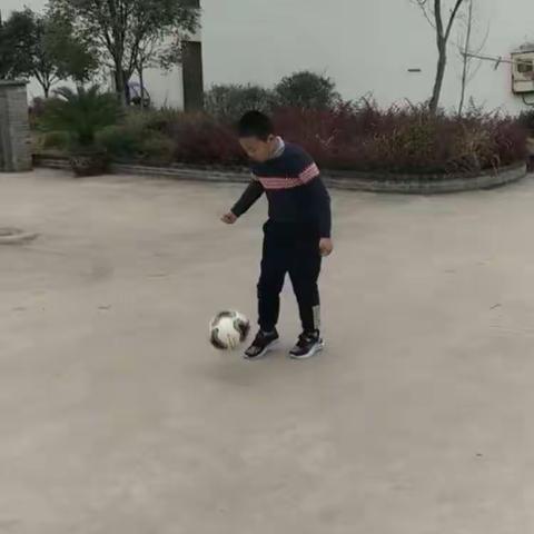 龙娃宅家吉尼斯挑战赛之体育专场