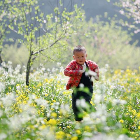 石路长田：蔬菜大棚里的孩子们