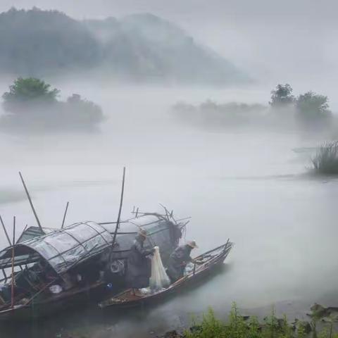 难忘那山那水那雾……