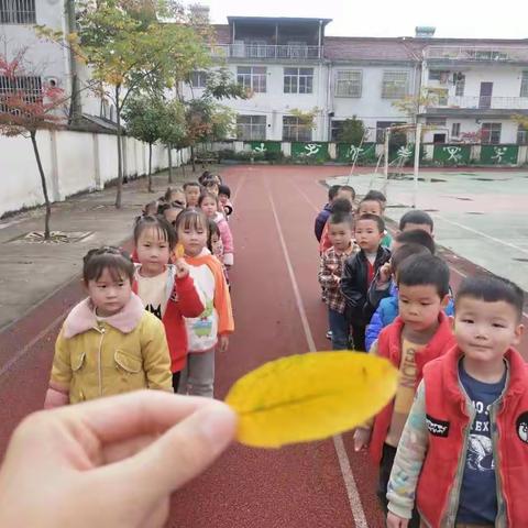 【健康成长】秋天到处走走——草堰幼儿园（中班）