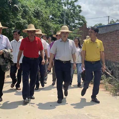 市委书记袁光平到东成调研脱贫攻坚和乡村振兴工作